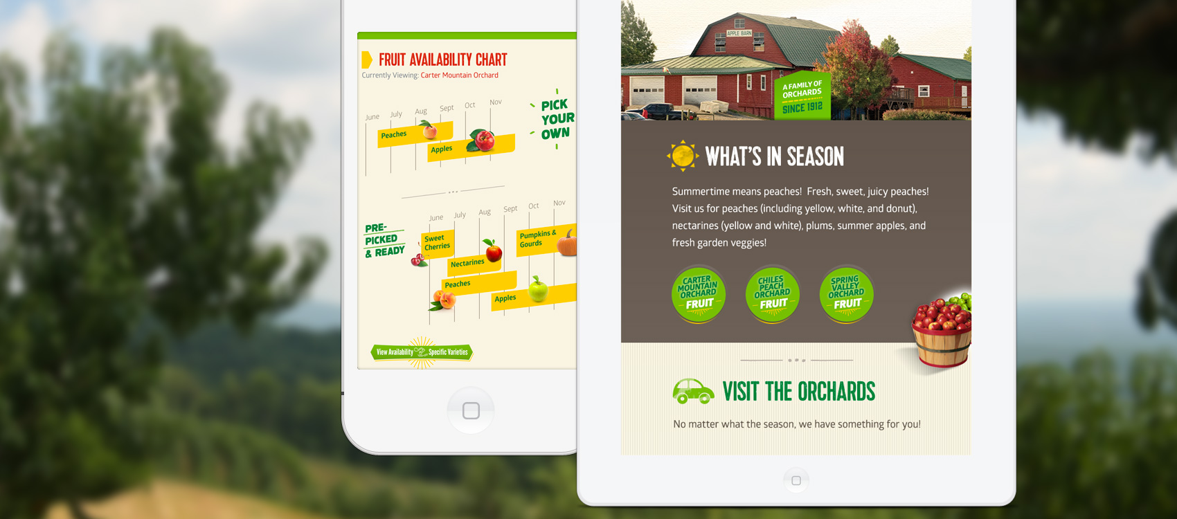 Mobile-responsive website design, shown on mobile and tablet, for Carter Mountain Orchard in Charlottesville, VA