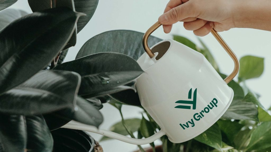 Ivy Group brand on white watering can